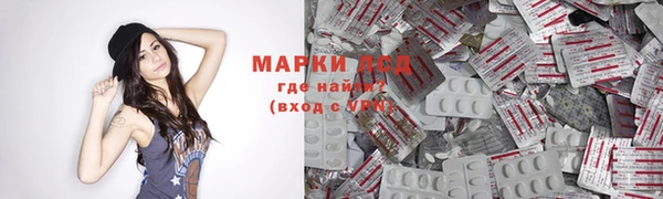 PSILOCYBIN Горняк