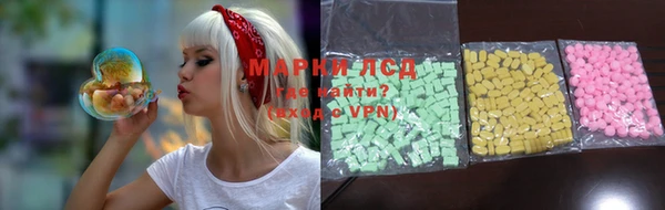 ГАЛЛЮЦИНОГЕННЫЕ ГРИБЫ Горно-Алтайск