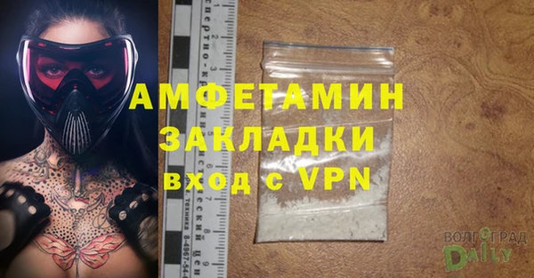 ГАЛЛЮЦИНОГЕННЫЕ ГРИБЫ Горно-Алтайск