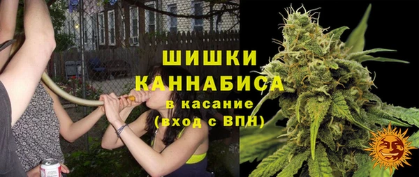 трава Вязьма