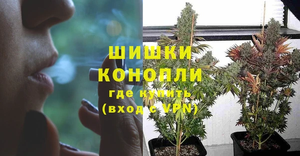 PSILOCYBIN Вяземский