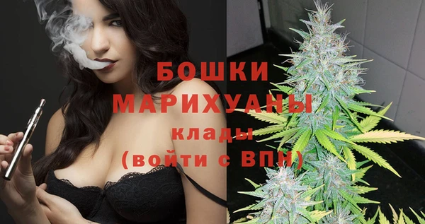 PSILOCYBIN Горняк