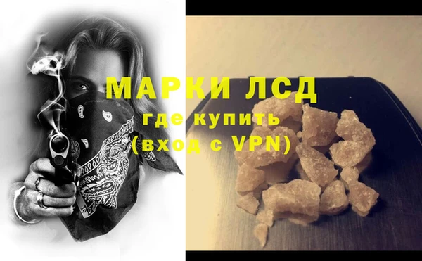PSILOCYBIN Вяземский