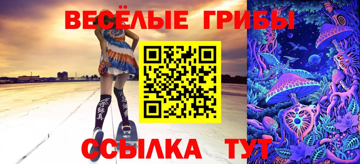 Галлюциногенные грибы Psilocybine cubensis Моршанск