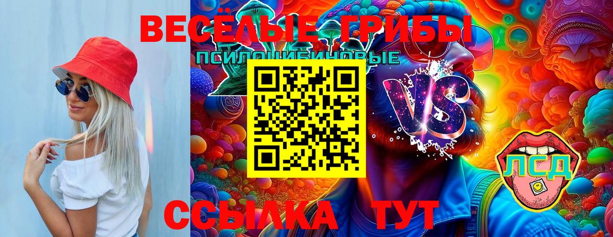 Галлюциногенные грибы Psilocybine cubensis Моршанск
